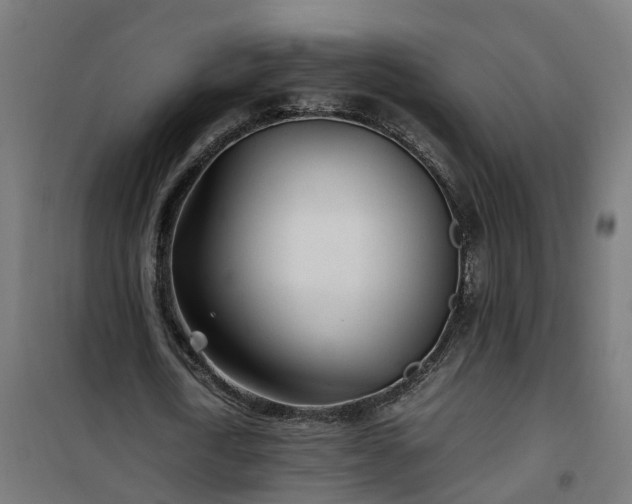 X0000100490722200806201652