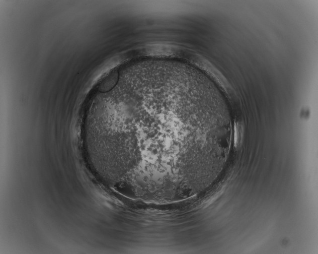 X0000100490723200806201652