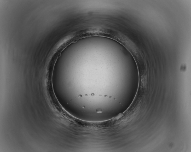 X0000100490724200806201652