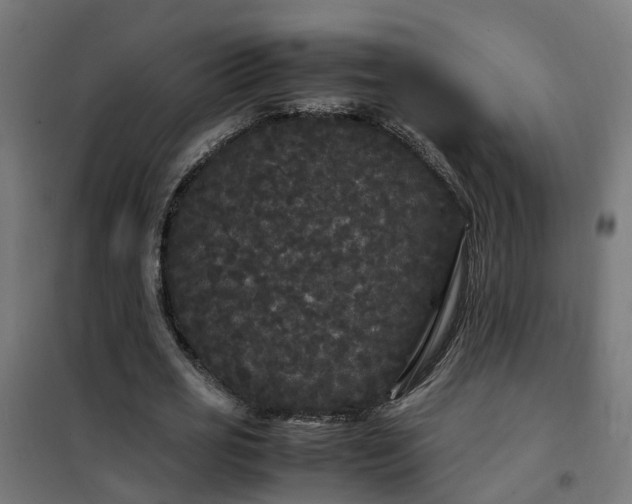 X0000100490725200806201652