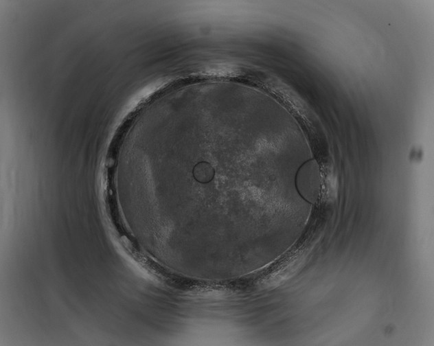 X0000100490726200806201652