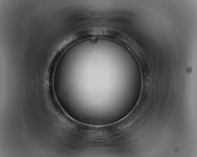 X0000100490727200806201652