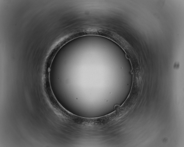 X0000100490728200806201652
