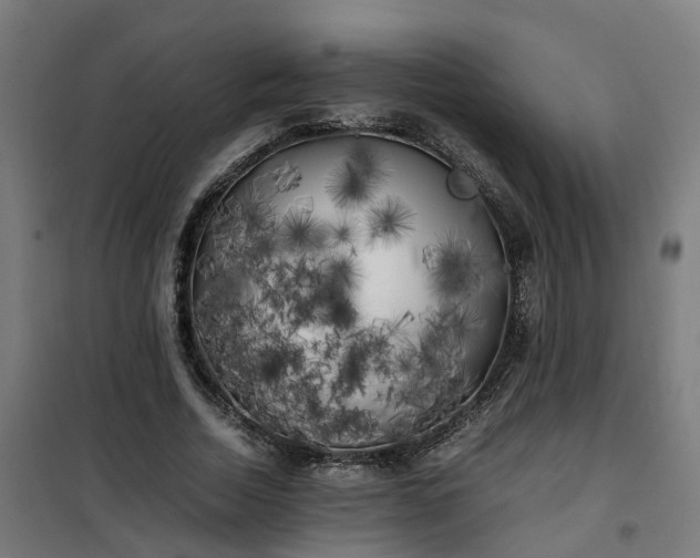 X0000100490730200806201652