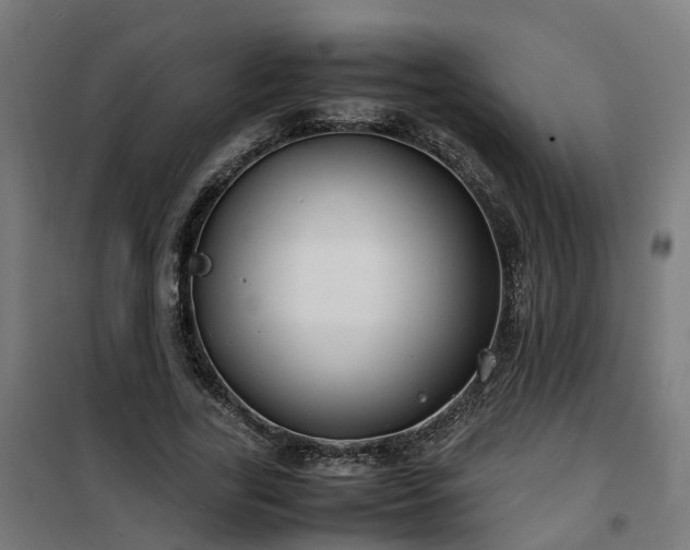 X0000100490731200806201652