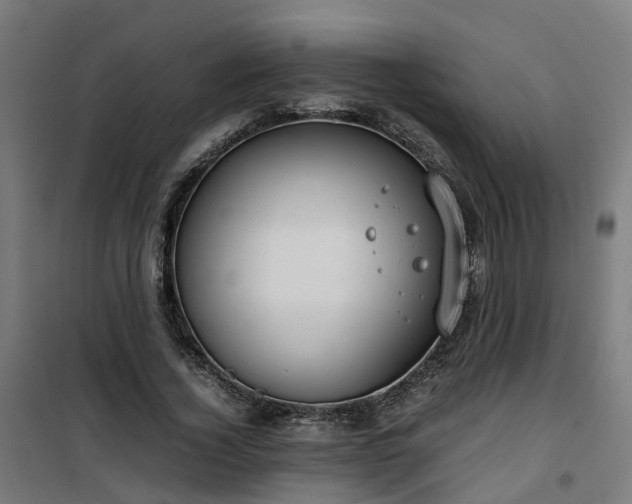 X0000100490732200806201652