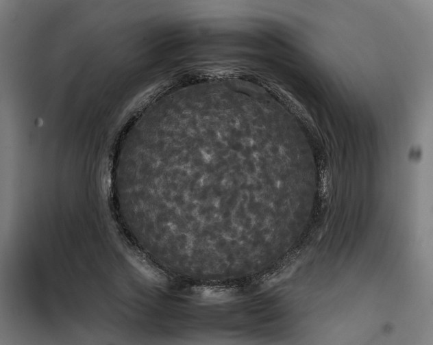 X0000100490733200806201652