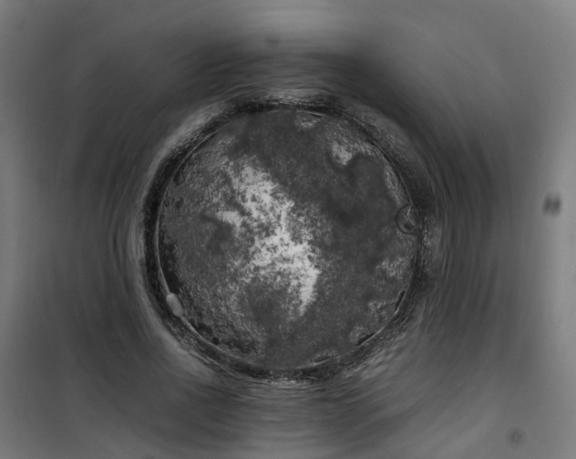 X0000100490734200806201652