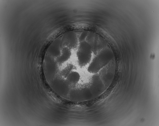 X0000100490737200806201652