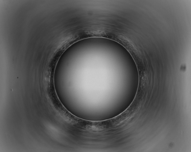 X0000100490739200806201652