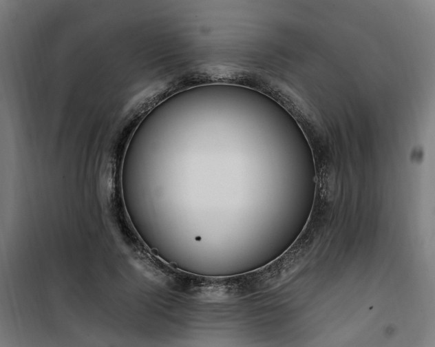X0000100490740200806201652