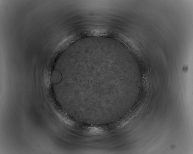X0000100490741200806201652