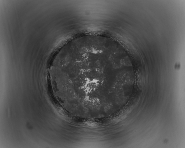 X0000100490742200806201652
