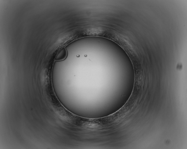 X0000100490743200806201652