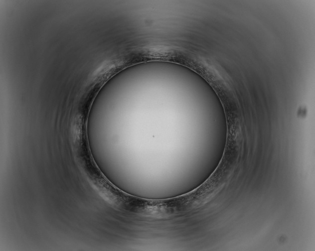 X0000100490744200806201652
