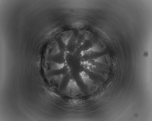 X0000100490745200806201652