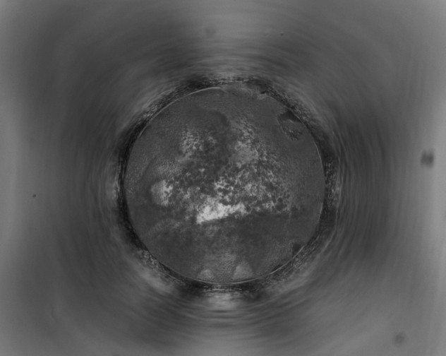X0000100490746200806201652