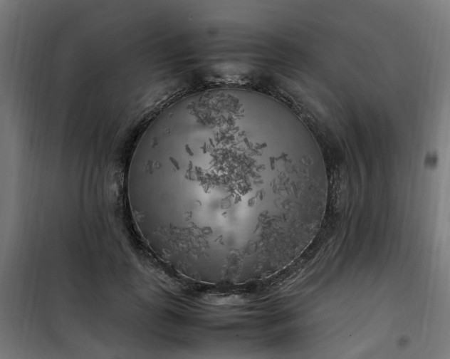 X0000100490747200806201652