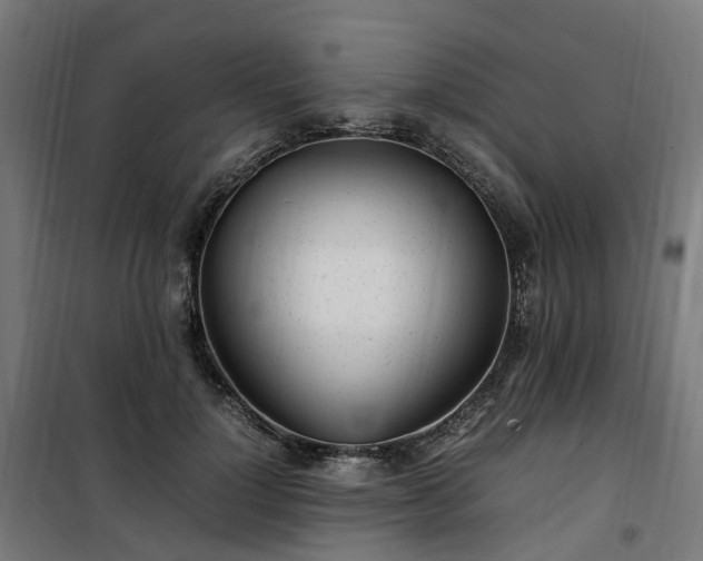X0000100490748200806201652