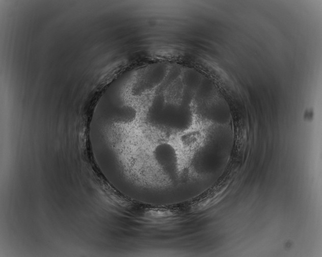 X0000100490749200806201652