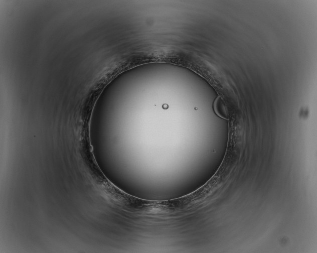 X0000100490750200806201652