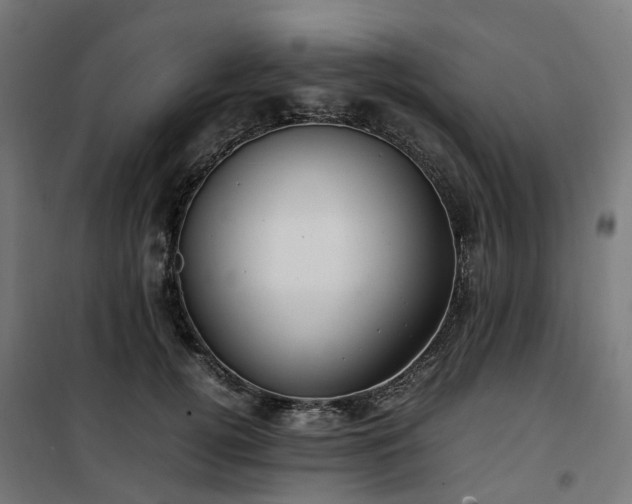 X0000100490752200806201652