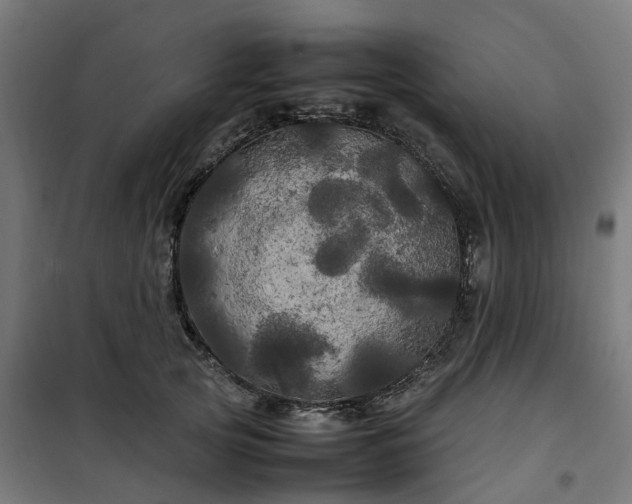 X0000100490753200806201652