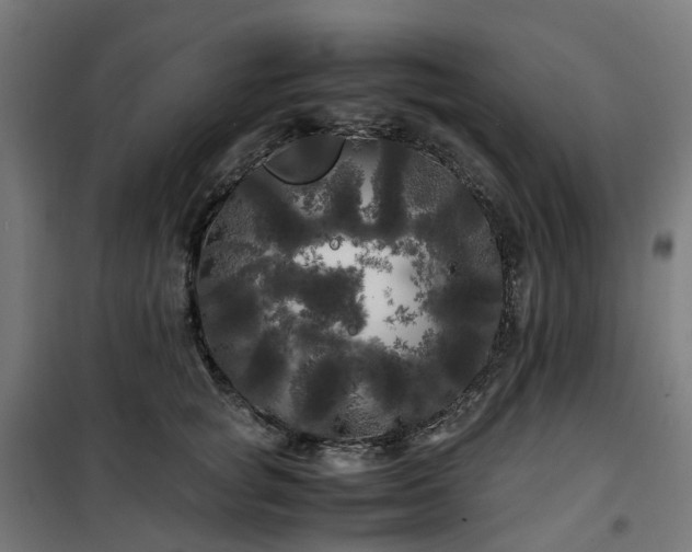 X0000100490757200806201652