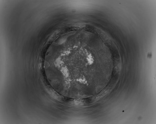 X0000100490758200806201652