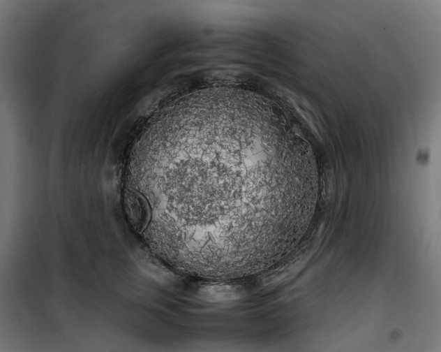 X0000100490759200806201652