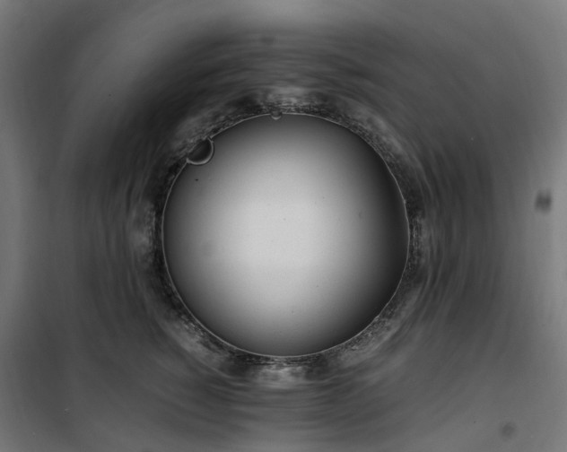 X0000100490760200806201652
