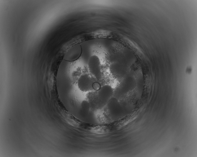 X0000100490761200806201652