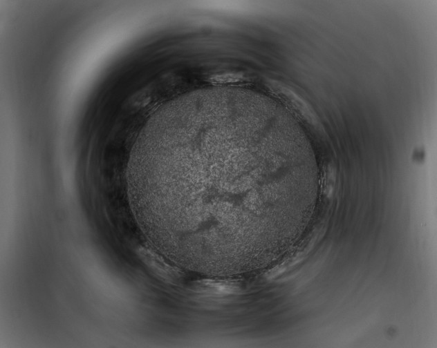 X0000100490763200806201652