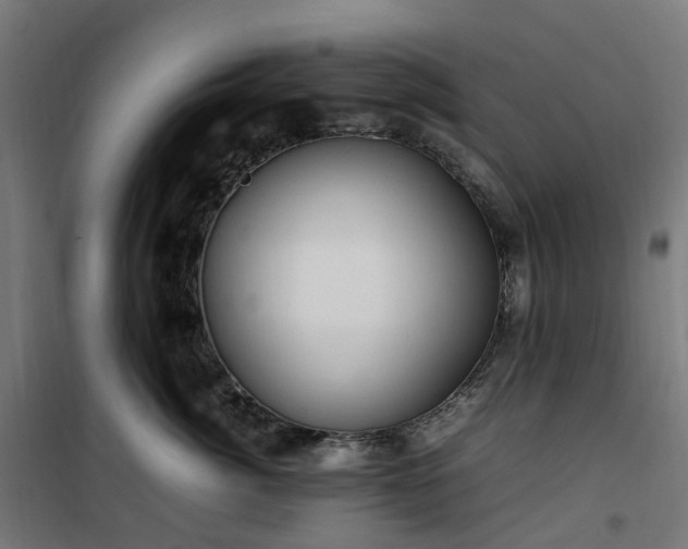 X0000100490764200806201652