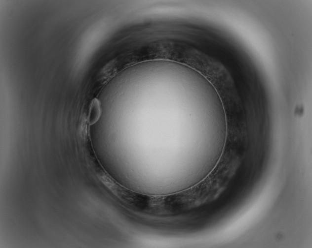 X0000100490766200806201652
