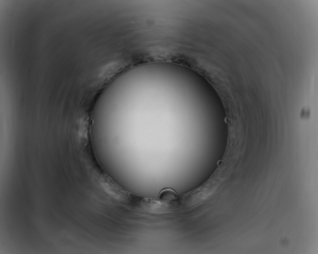 X0000100490768200806201652