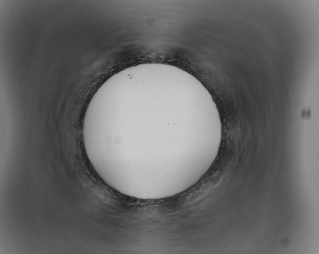X0000100490769200806201652
