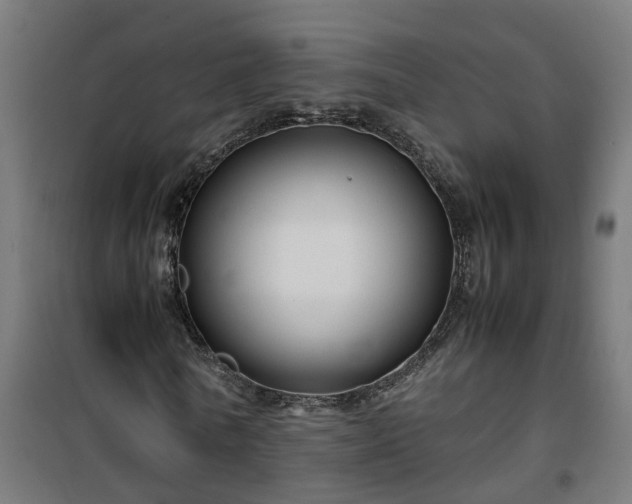 X0000100490770200806201652