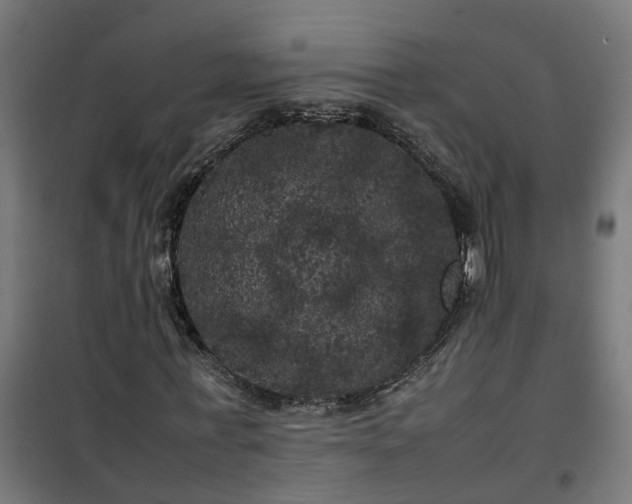 X0000100490771200806201652