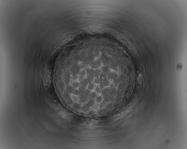 X0000100490772200806201652