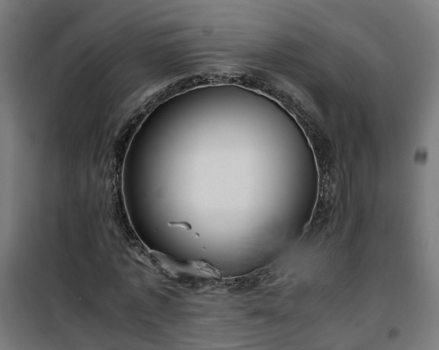 X0000100490773200806201652
