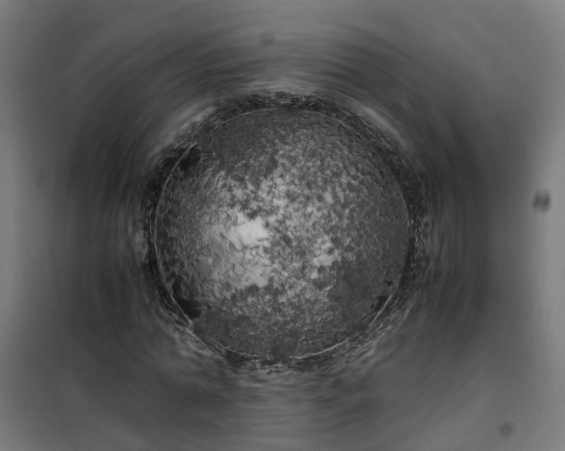 X0000100490774200806201652