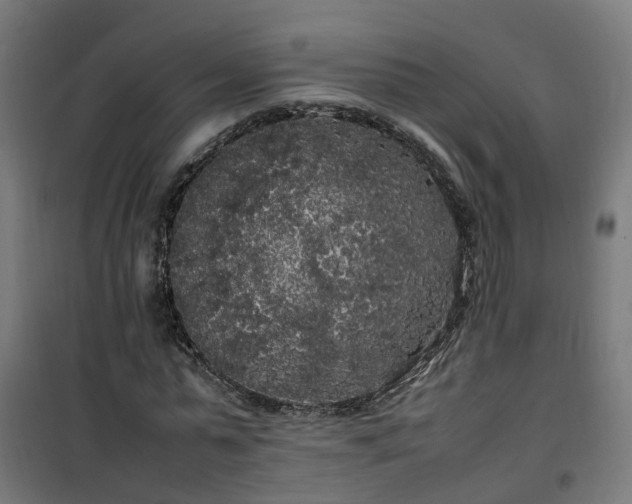 X0000100490775200806201652