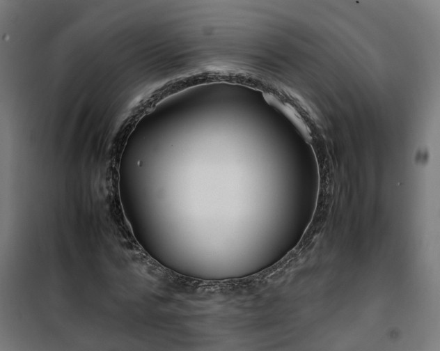 X0000100490776200806201652