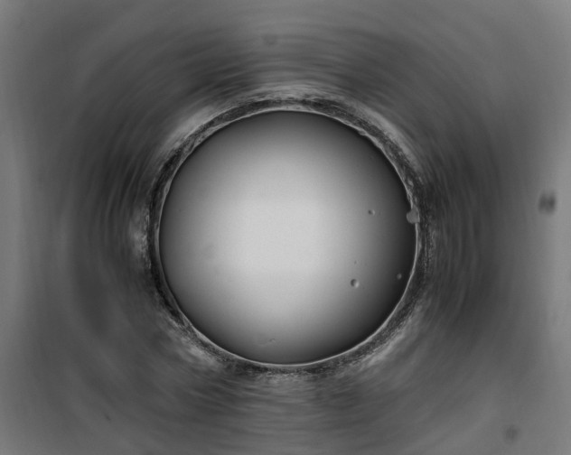 X0000100490778200806201652