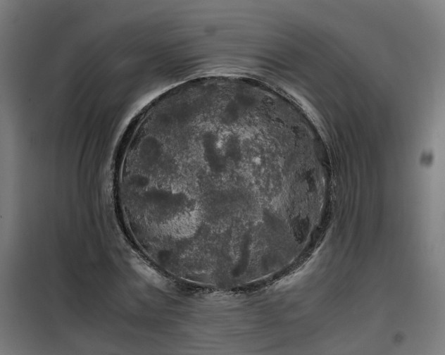 X0000100490779200806201652