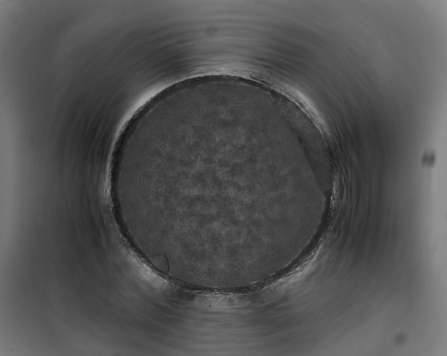 X0000100490780200806201652