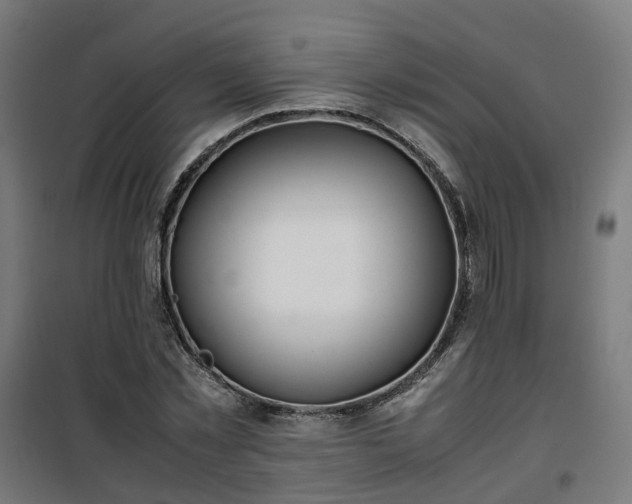 X0000100490781200806201651