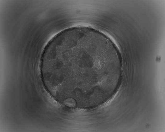 X0000100490783200806201651