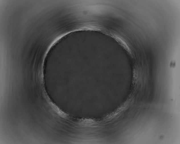 X0000100490784200806201651